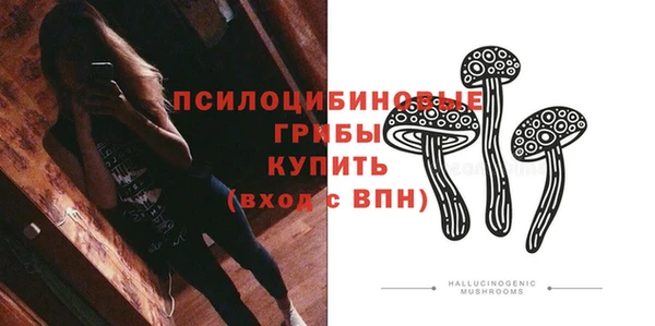 ГАЛЛЮЦИНОГЕННЫЕ ГРИБЫ Дмитров