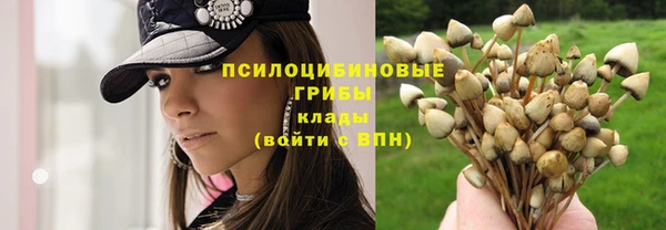 дурь Гусиноозёрск