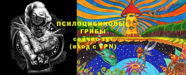 дурь Гусиноозёрск