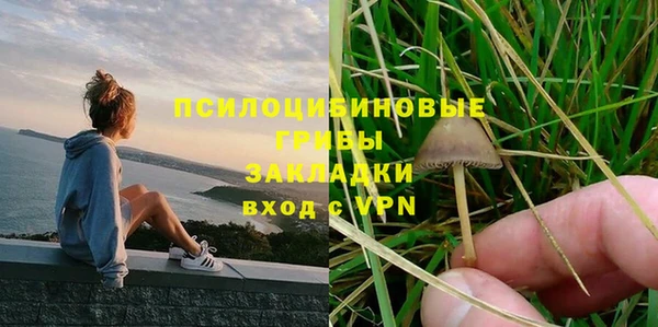 дурь Гусиноозёрск