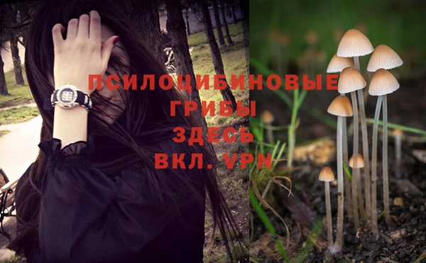 ГАЛЛЮЦИНОГЕННЫЕ ГРИБЫ Дмитров