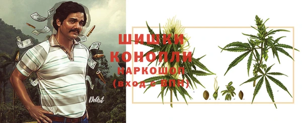 дурь Гусиноозёрск