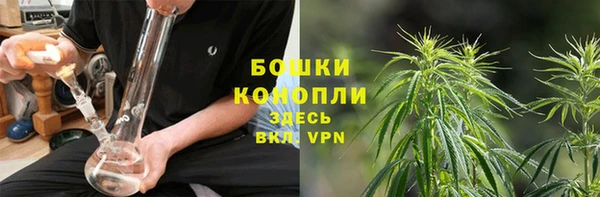 дурь Гусиноозёрск