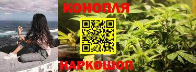шишки Гусиноозёрск