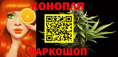 шишки Гусиноозёрск