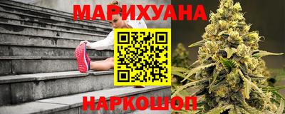 шишки Гусиноозёрск