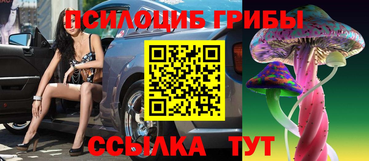 Протвино  Галлюциногенные грибы Cubensis  Вход с VPN 