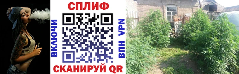 Бошки марихуана THC 21%  Протвино 